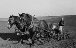 تاریخجه تجهیزات و ادوات کشاورزی